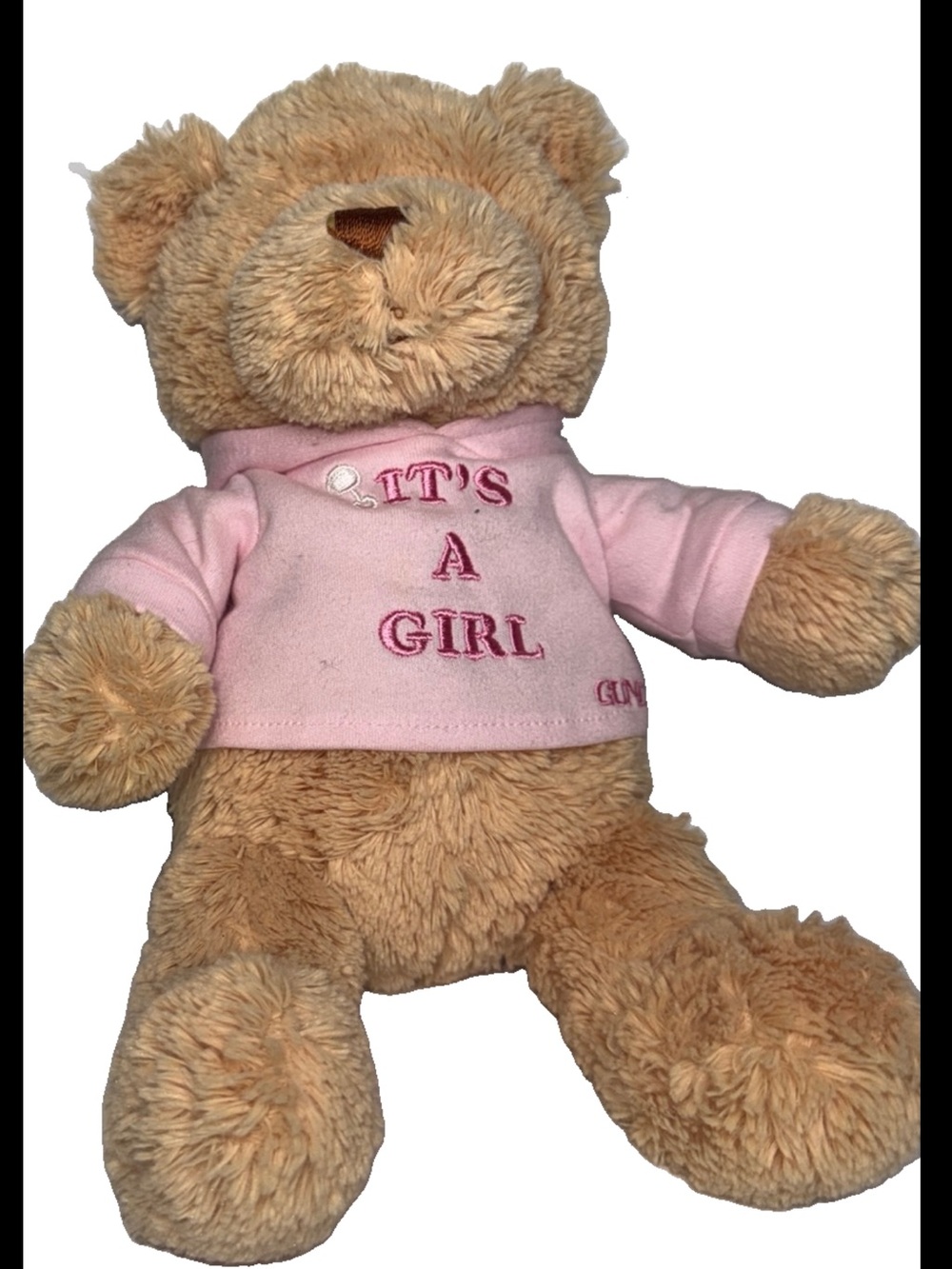 GUND Bear Hugs Its A Girl 12" Teddy Bear Plush Pink Hoodie Stuffed Animal Toy